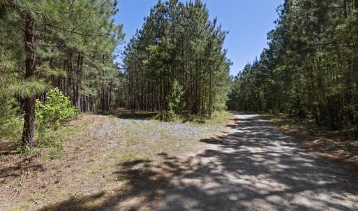 Photo #11 of DEERWOOD LN, SPOTSYLVANIA, VA 61.0 acres