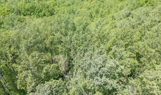 10-00 Snow Creek Rd-10