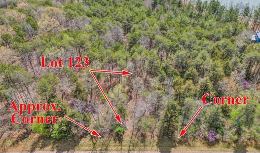 aerial showing path from road2