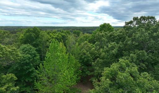 Photo #25 of RIVANNA RDG, TROY, VA 25.5 acres