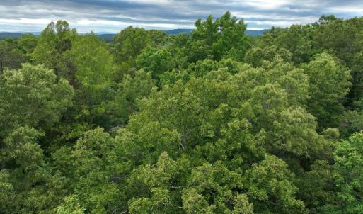 Photo #2 of RIVANNA RDG, TROY, VA 25.5 acres