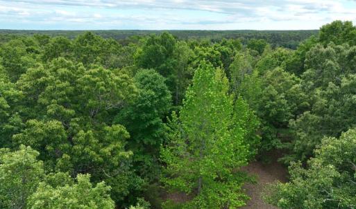 Photo #3 of RIVANNA RDG, TROY, VA 25.5 acres