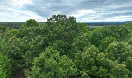 Photo #26 of RIVANNA RDG, TROY, VA 25.5 acres