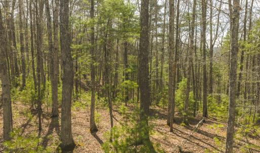 DJI_20260418152439_0480_D