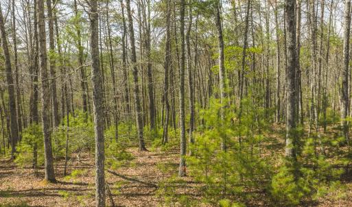 DJI_20260418152539_0483_D