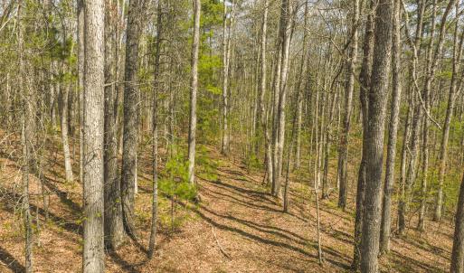 DJI_20260418152635_0484_D