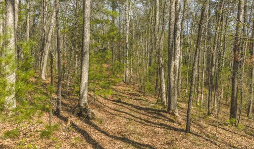 DJI_20260418152700_0486_D