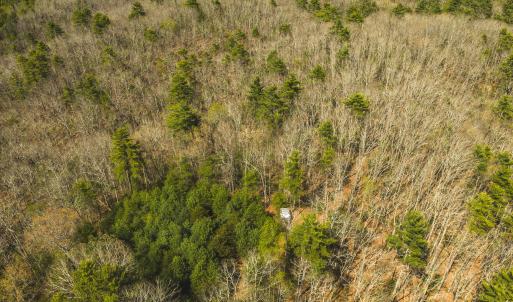 DJI_20260418154148_0497_D