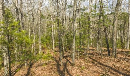 DJI_20260418154917_0501_D
