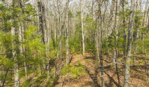 DJI_20260418155002_0503_D