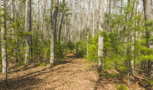 DJI_20260418155240_0505_D