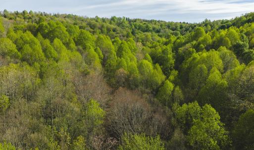DJI_20260421170848_0600_D