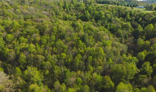 DJI_20260421170914_0601_D