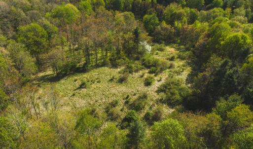 DJI_20260421171025_0604_D