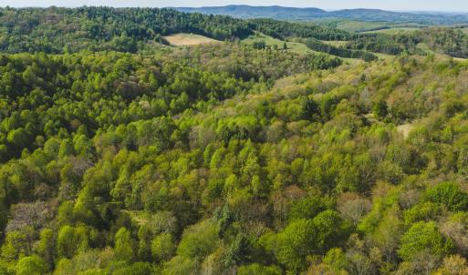 DJI_20260421171103_0606_D