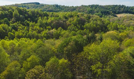 DJI_20260421171309_0612_D