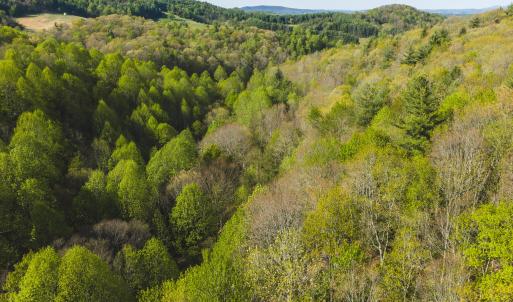 DJI_20260421171326_0613_D