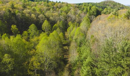 DJI_20260421171402_0615_D