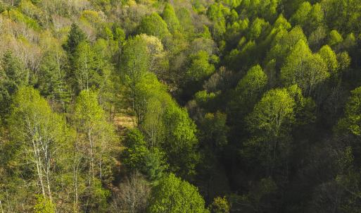 DJI_20260421171436_0617_D
