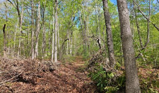 9.0576 Acres