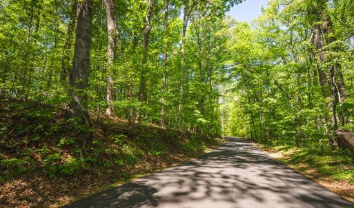 DSC00781
