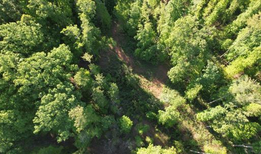 DJI_0463