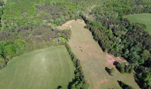 Rock Cliff Farm
