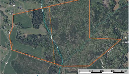 Map - Tax Parcel Boundaries