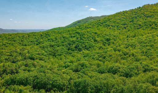 02-Otter Mountain Drive-1