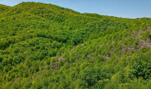 12-Otter Mountain Drive-12