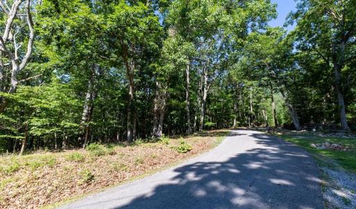 Photo #11 of PANORAMA VIEW DR., STANLEY, VA 4.1 acres
