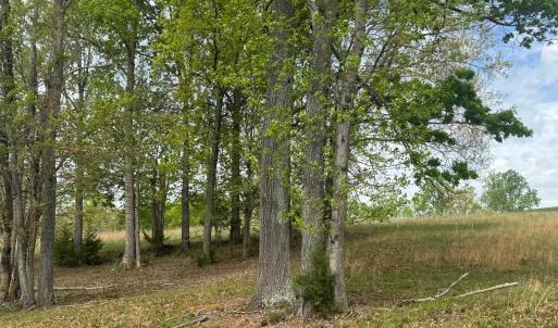 LOt 28 Farm DRive