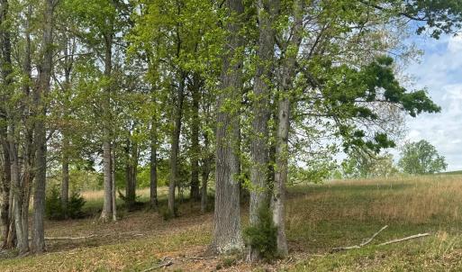 LOt 28 Farm DRive