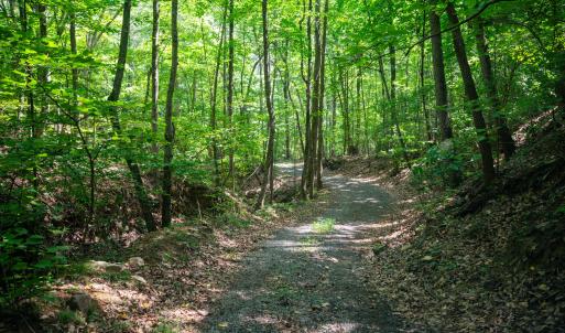 9_adventure_mountain_rd-39