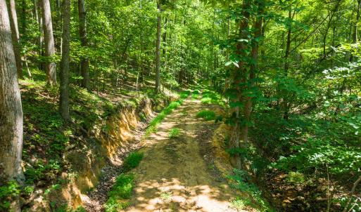 12_adventure_mountain_rd-26