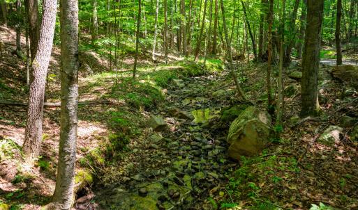 42_adventure_mountain_rd-32