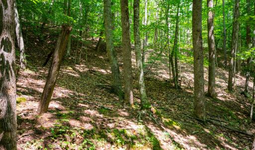 43_adventure_mountain_rd-33