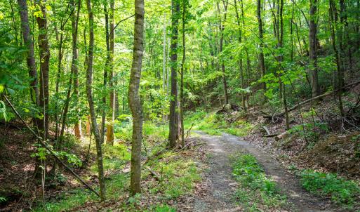 49_adventure_mountain_rd-41