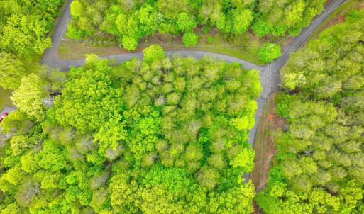 Lot 60 Old Barn Road (3)