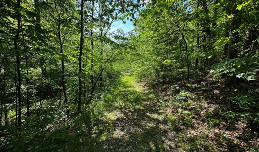 land for sale in shawsville va 1