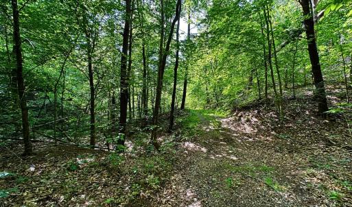 land for sale in shawsville va 3