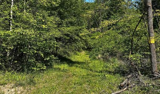 land for sale in shawsville va 8