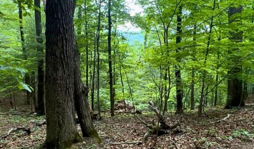 land for sale in shawsville va 21