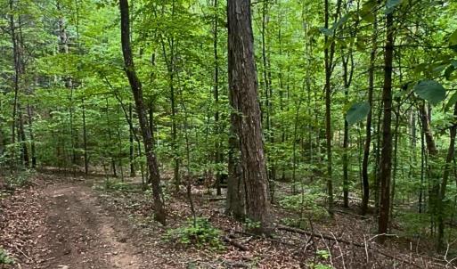 land for sale in shawsville va 22 (1)