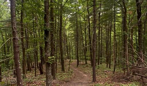 land for sale in shawsville va 22