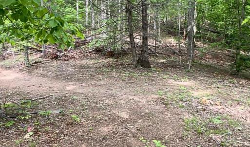 land for sale in shawsville va 24 (1)