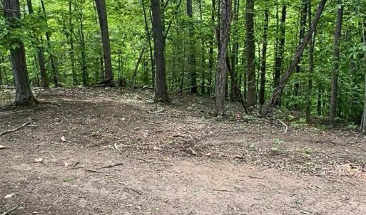 land for sale in shawsville va 24