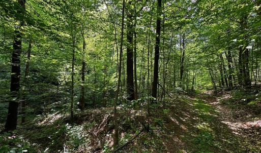 land for sale in shawsville va 28