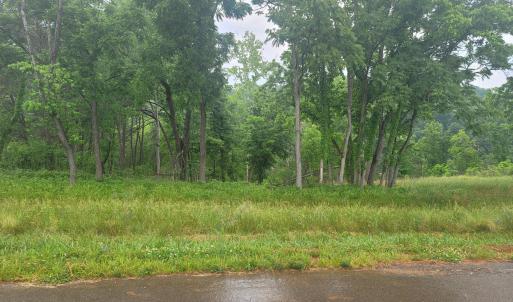 Lot 9 Photo