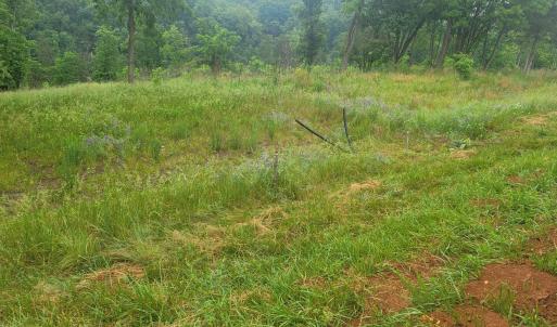Lot 9 Photo2